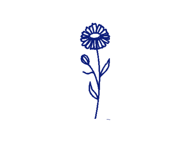 Celestial Bloom Zodiac