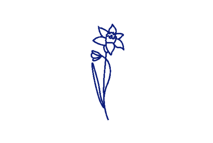 Celestial Bloom Zodiac