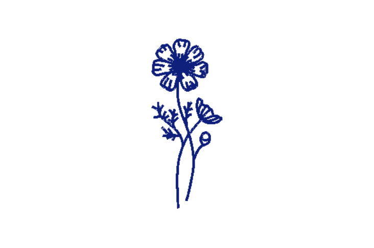 Celestial Bloom Zodiac