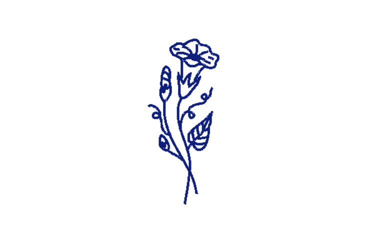 Celestial Bloom Zodiac